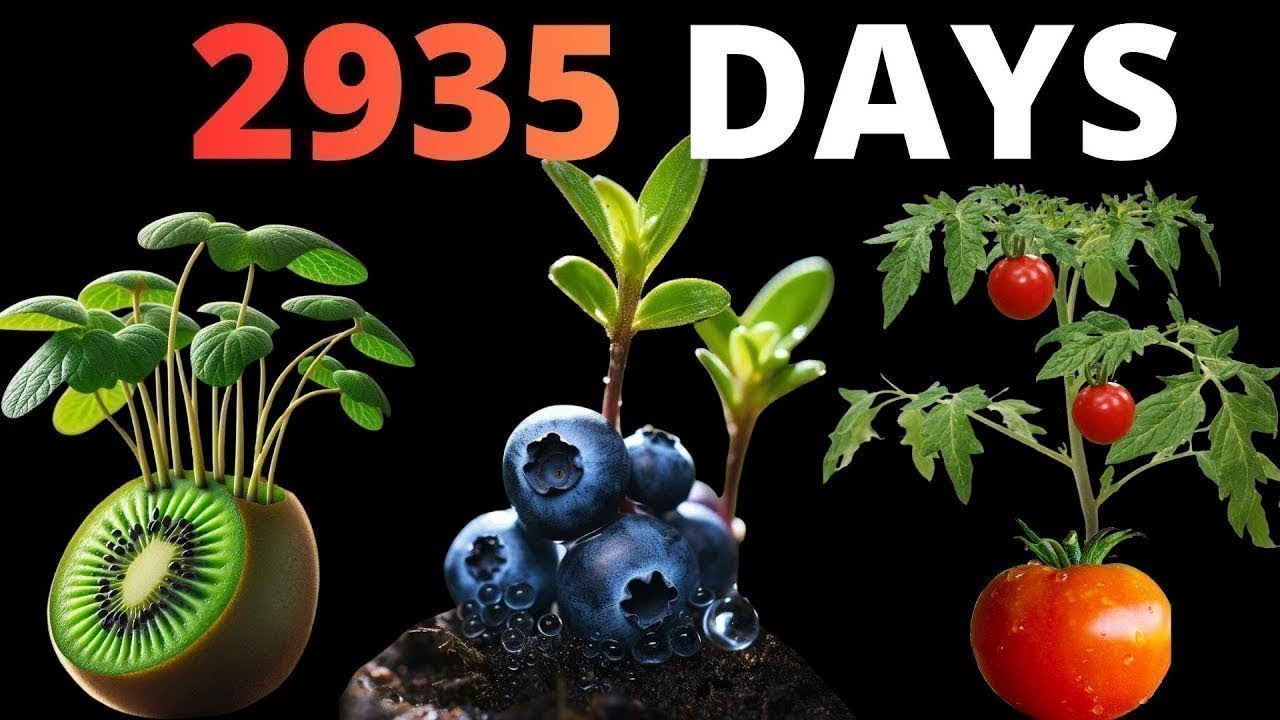 8 YEARS of Growing Plants in TIMELAPSE (Compilation)