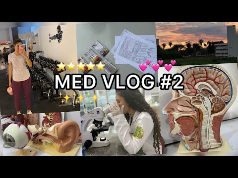 MED VLOG #2 - 2° Período MEDICINA UNIMONTES 