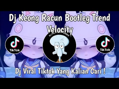 DJ KEONG RACUN BOOTLEG TREND VELOCITY VIRAL TIKTOK TERBARU 2026 YANG KALIAN CARI !
