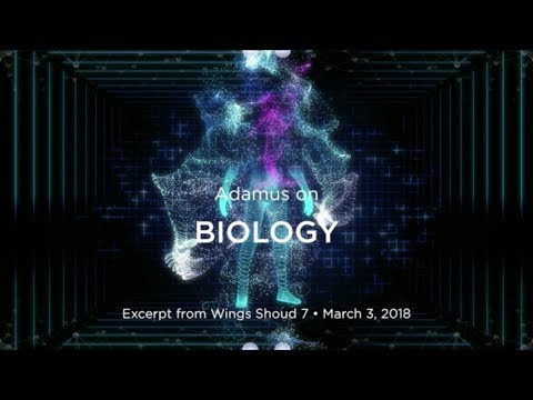Adamus on Biology & Aging