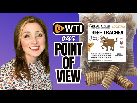 Dog Chits Beef Trachea for Dogs - Dog and Puppy Chews | Amazing for Joints | Made in USA | 6 in - WTI product video review
