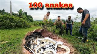 The brave hunter confronted 1000 snakes, बहादुर शिकारी ने 1000 साँपों का सामना किया