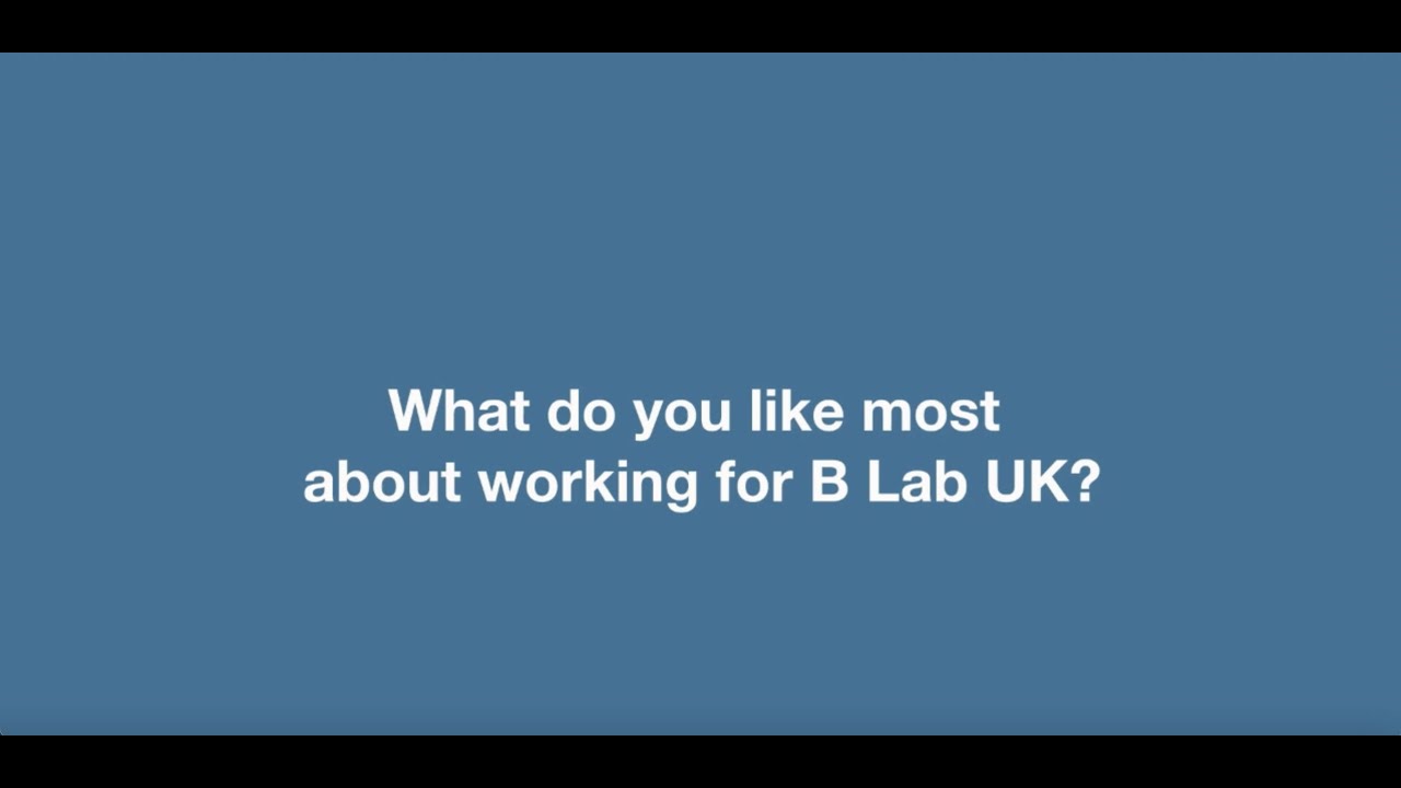 What team members like most about working for B Lab UK