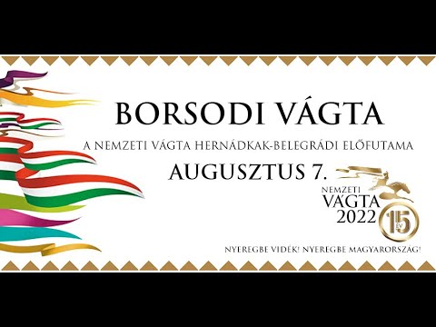 Borsodi Vágta [2022.08.07.]