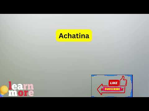 How to Pronounce Achatina