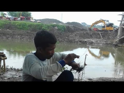 Tafsir mimpi,arti mimpi disambar pertir sampai matanya buta