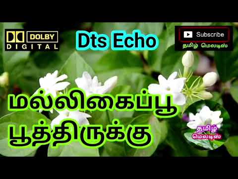 🌿🌹🌿Malligaippoo Poothirikku🍀Tamil song in digital music. Use  🎧