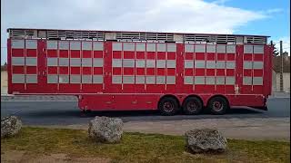 N&aacute;ves na prepravu zvierat Pezzaioli SBA63  3 levels  for pigs | Obraz 6 - Autoline