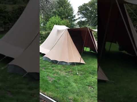 De Waard Zilvermeeuw - 171020