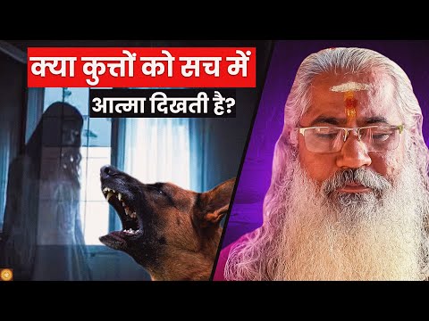 कुत्तों का आत्मा से संबंध: यह सच है या अंधविश्वास?||Can Dogs Have a Spiritual Vision?||EP-18