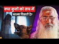 कुत्तों का आत्मा से संबंध यह सच है या अ�