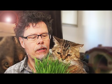 WHAT IS CAT GRASS? (WITH GARDENING EXPERT LARRY GRAVES)