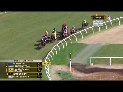 Golden Pal - Breeders' Cup Turf Sprint (Gr.1)