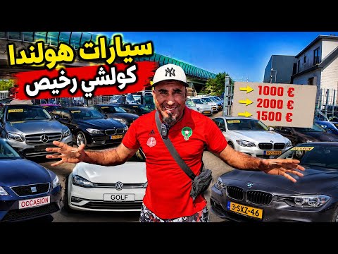     🚗 دخلت أكبر سوق سيارات فهولندا.. تصدمت من الأثمنة!