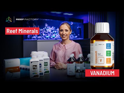 Reef Factory-Reef minerals Vanadium