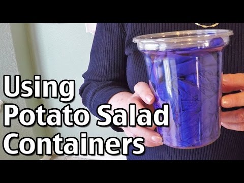 download lagu mp3 mp4 Potato Salad Container, download lagu Potato Salad Container gratis, unduh video klip Potato Salad Container