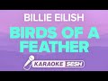 Billie Eilish BIRDS OF A FEATHER Karaoke