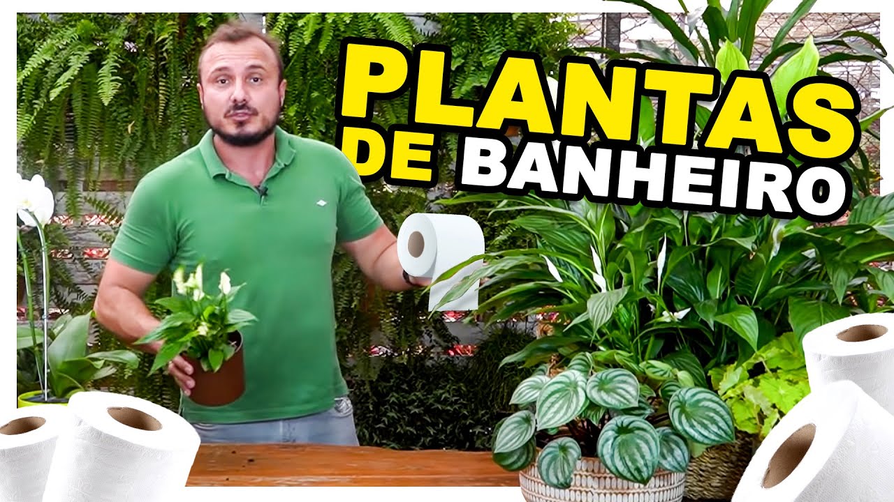 PLANTAS DE BANHEIRO | Veja esse vídeo antes de comprar uma | Murilo Soares