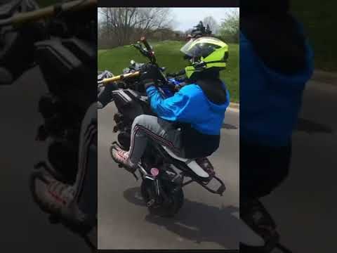 I caught em again #bikelife #grom #trendingshorts