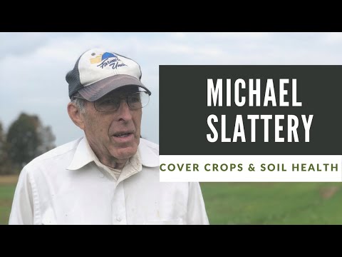 Michael Slattery, His Clover, Daikon Radish, & Barley Cover Crop Mix, & the Soil Health Benefits