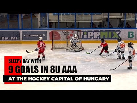 9 Goals on a Sleepy Sunday - Game Day Highlights  | Aron Kocsis HOCKEY