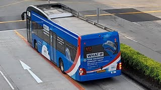 (SDIC Deposit Insurance Scheme Full Body Advertisement) SMB1412Z On Service 855 At Yishun Avenue 2