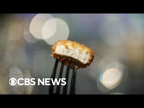 How lab-grown chicken is made