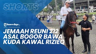 Jemaah Asal Bogor Bawa Kuda untuk Ramaikan Reuni 212, Kawal Kepulangan Rizieq Shihab