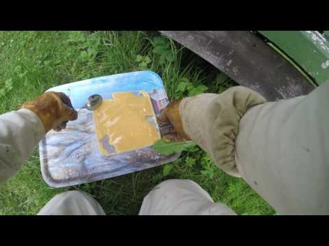 Stödfodring via fluster