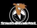 Screeching Weasel - Sunshine
