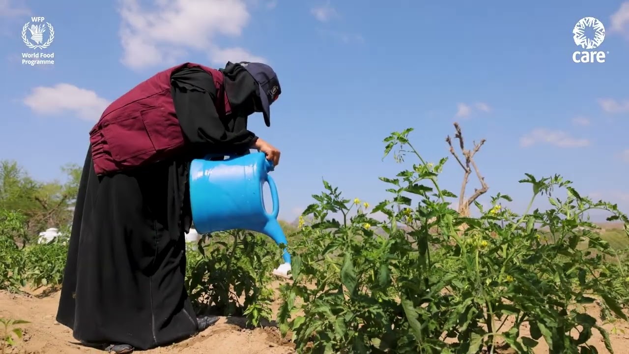 Empowering Women Farmers in Taiz: A Path to Food Security and Resilience