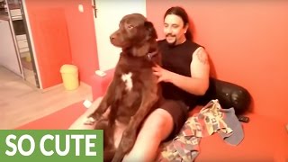 animale un masaj - cui nu-i place