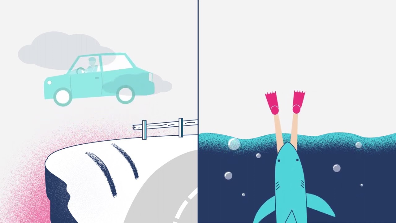 Sepio Explainer Video