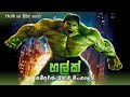 හල්ක්  සම්පූර්ණ කතාවම සින්හලෙන්  | Hulk Sinhala dubbed full movie 