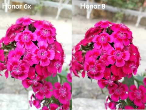Still photo camera comparison between honor 8 vs honor 6x