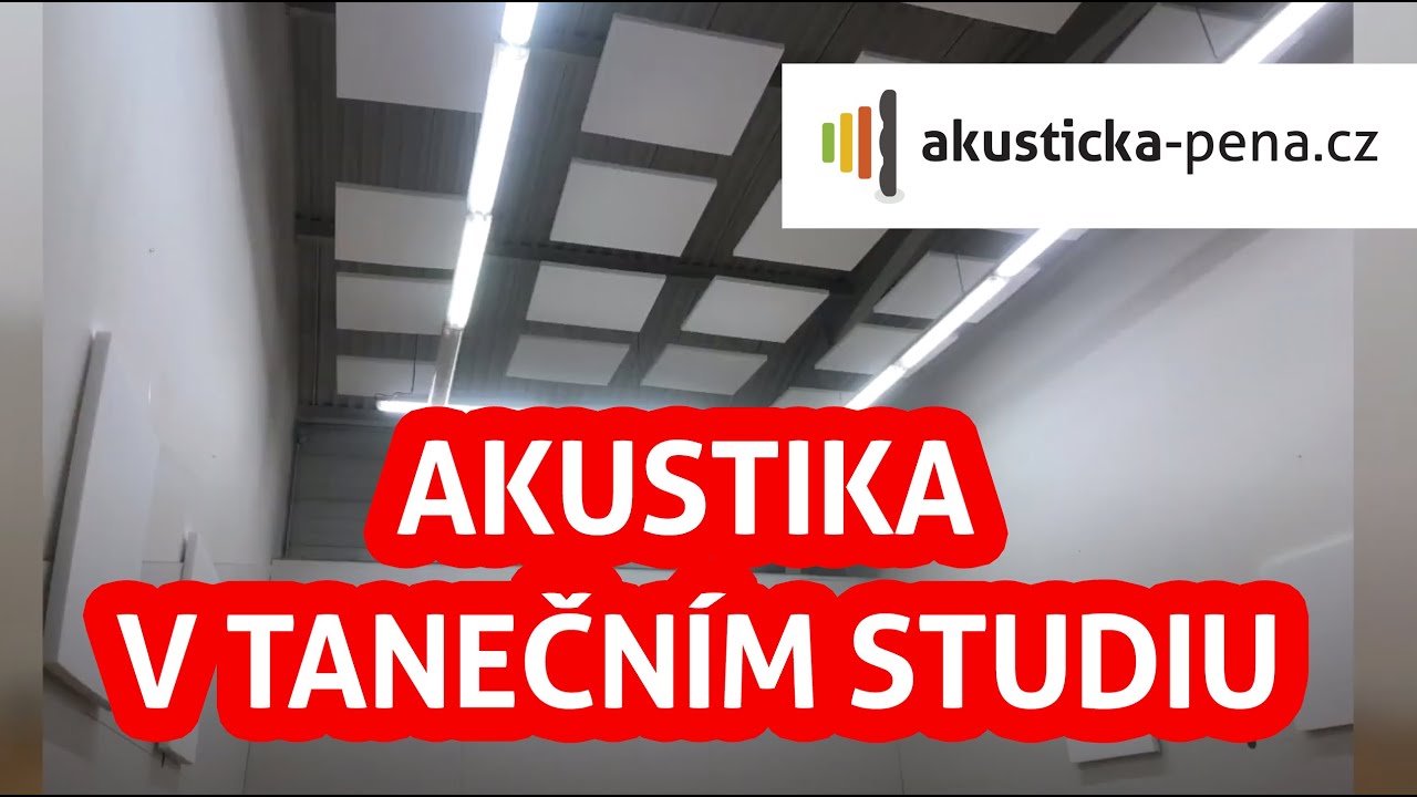 Přehrát video