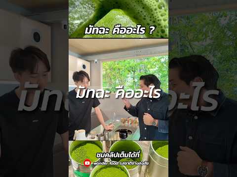 มัทฉะ คืออะไร ? #รสชาติช่างสงสัย #wonderfood