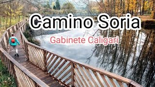 CAMINO SORIA (Gabinete Caligari)