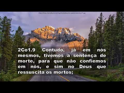 Devocional 25/08/2020 - Confiar em Deus