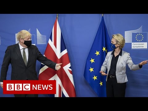 Brexit：歐盟是否對英國區別對待？- 英國廣播公司新聞 (Brexit: Is the EU treating the UK differently? - BBC News)
