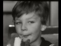 Lievito Vanigliato Bertolini Dolci Molti Dolci