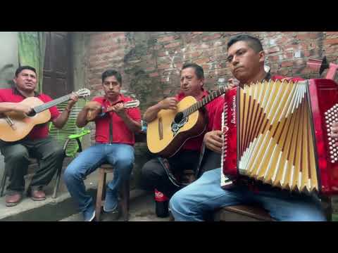 Cueca CONTRATOS AL 70209060