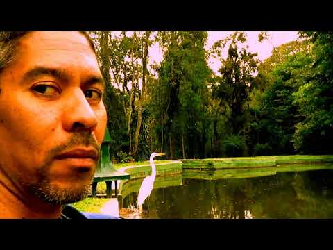 Simplesmente video