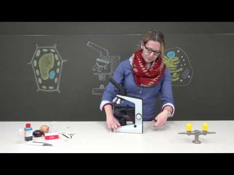 Mikroskopvorstellung