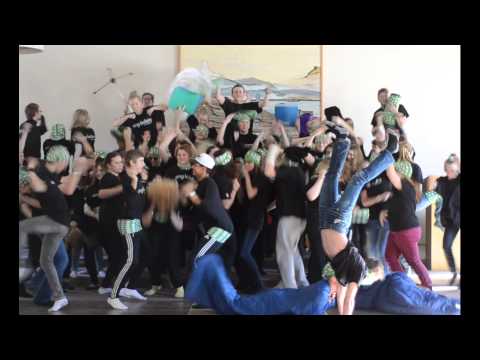 Harlem Shake - Unga ledare