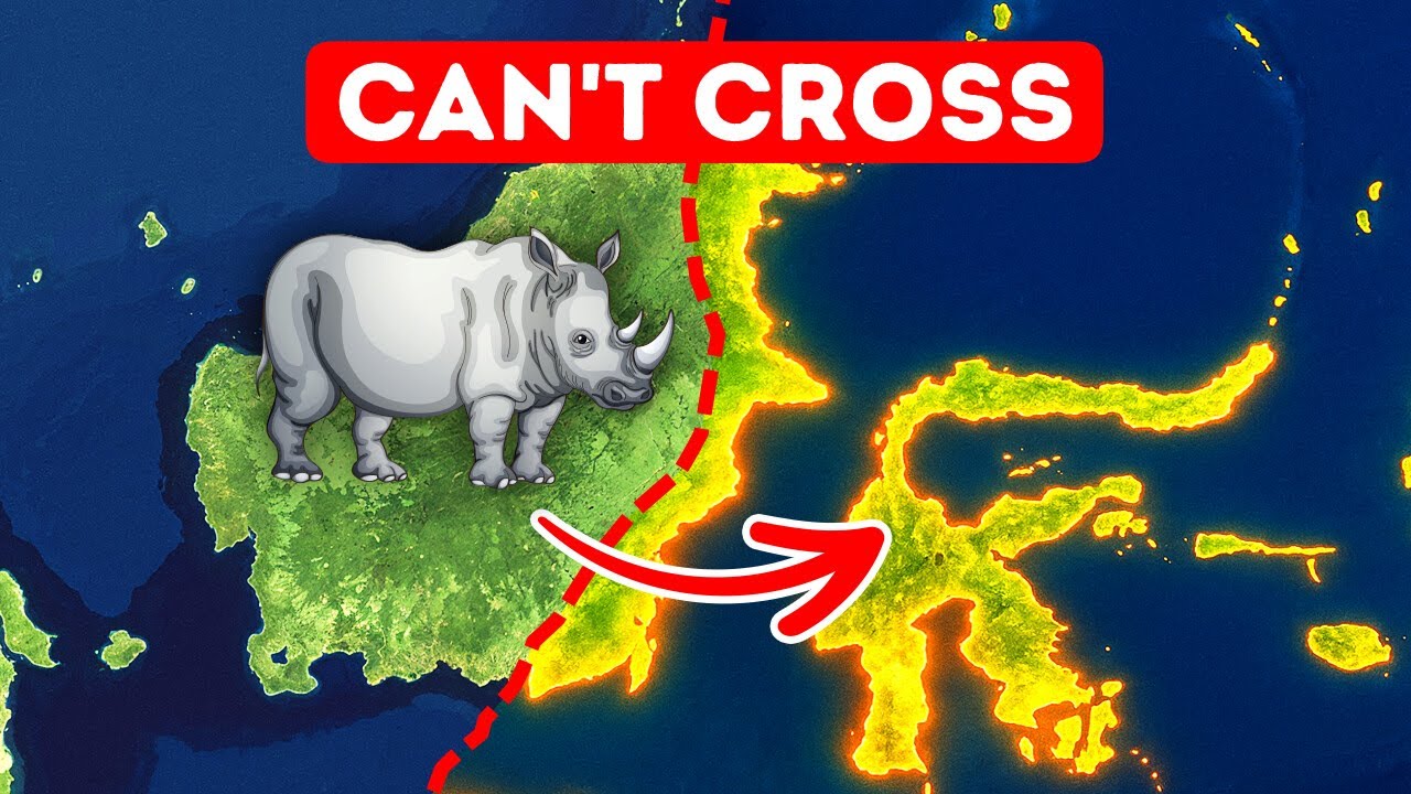 This Invisible Line Stops Animals — Here’s the Reason