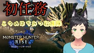 【モンハンライズ】一狩行こうぜ！【まったりプレイ】