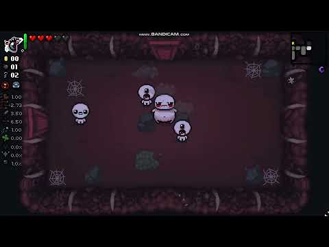 Best TMTrainer item in isaac