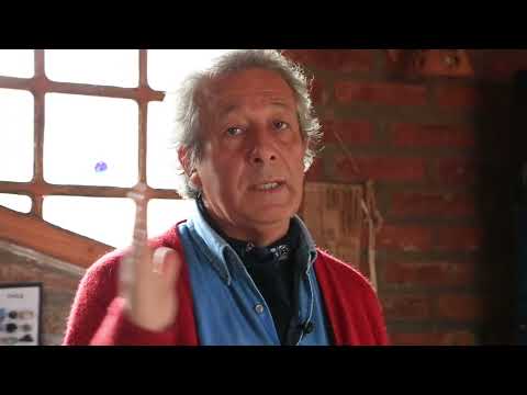 LEOPOLDO SAAVEDRA - PINTOR