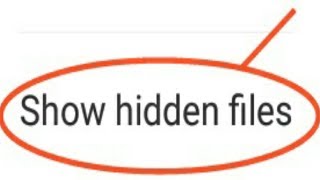 Show Hidden Files In Mi File Manager App